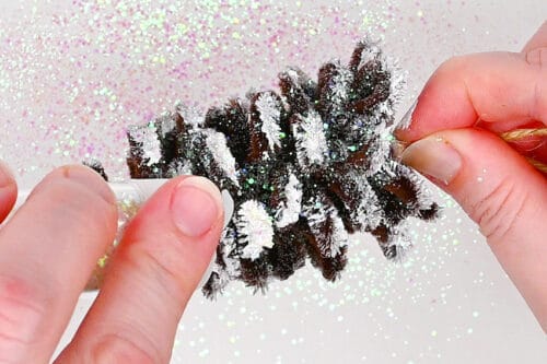Pipe Cleaner Pine Cones
