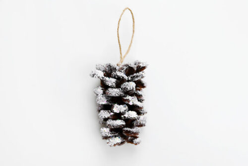 Pipe Cleaner Pine Cones