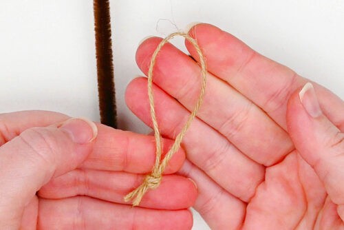 Pipe Cleaner Pine Cones