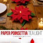 Paper poinsettia pattern