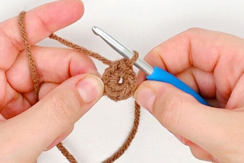 Crochet Groundhog
