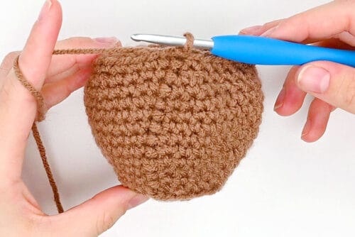 Crochet Groundhog