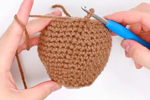 Crochet Groundhog