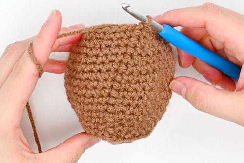 Crochet Groundhog