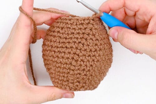Crochet Groundhog
