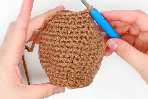 Crochet Groundhog