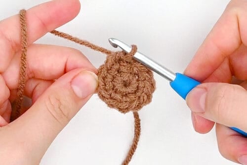 Crochet Groundhog