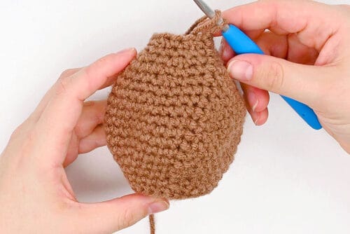 Crochet Groundhog