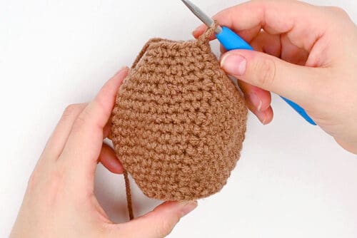 Crochet Groundhog
