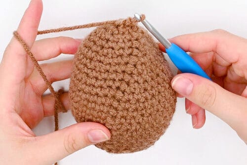 Crochet Groundhog