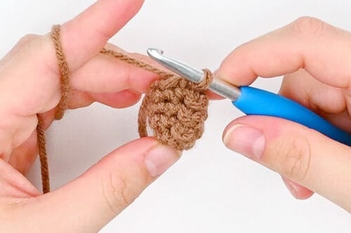 Crochet Groundhog