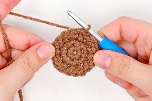 Crochet Groundhog