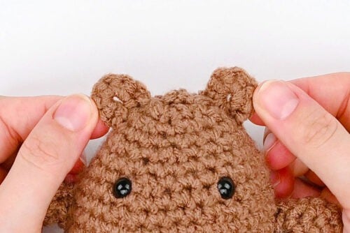Crochet Groundhog