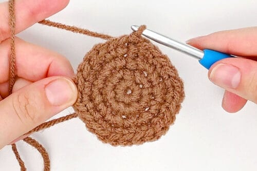 Crochet Groundhog