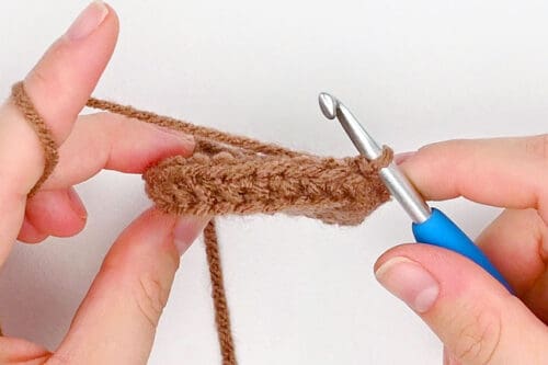 Crochet Groundhog