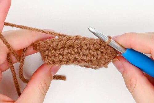 Crochet Groundhog