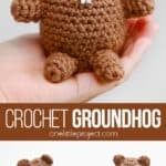 Crochet Groundhog Amigurumi