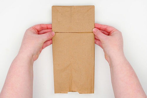 Groundhog Paper Bag Puppet