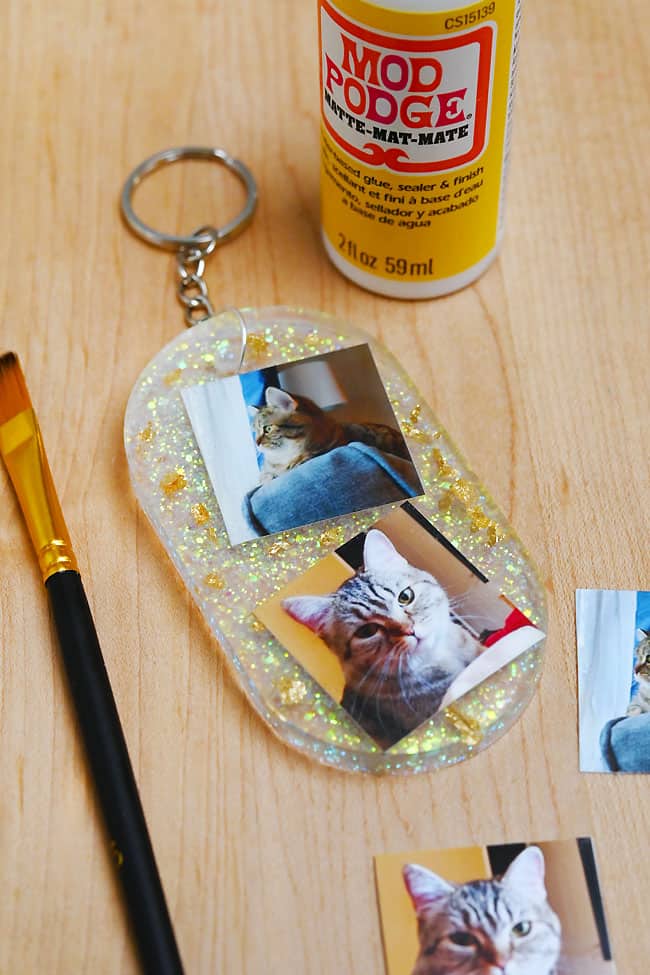 How to Put Pictures in Resin Closeup on cute cat pictures in a resin keychain