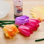 Coffee Filter Flower Tulip
