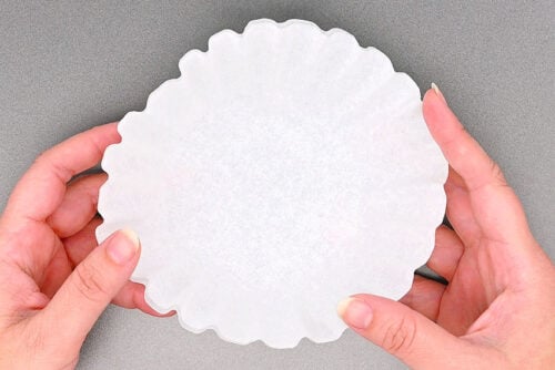 Coffee Filter Tulips