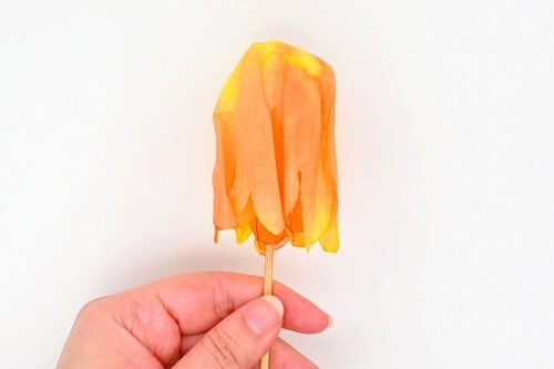 Coffee Filter Tulips