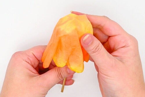 Coffee Filter Tulips