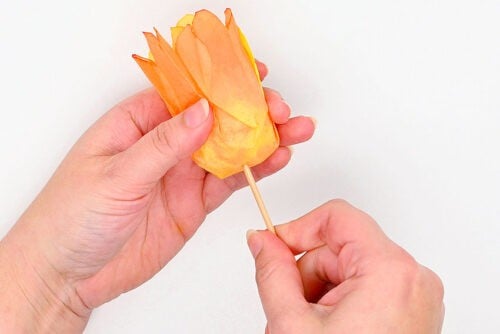 Coffee Filter Tulips