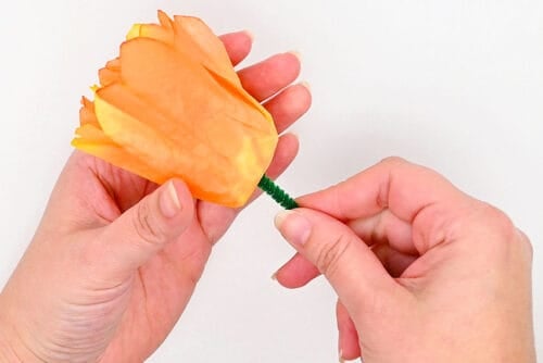 Coffee Filter Tulips