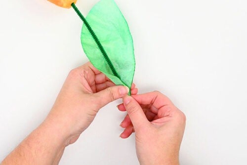 Coffee Filter Tulips