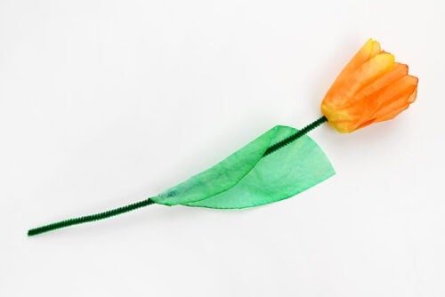 Coffee Filter Tulips