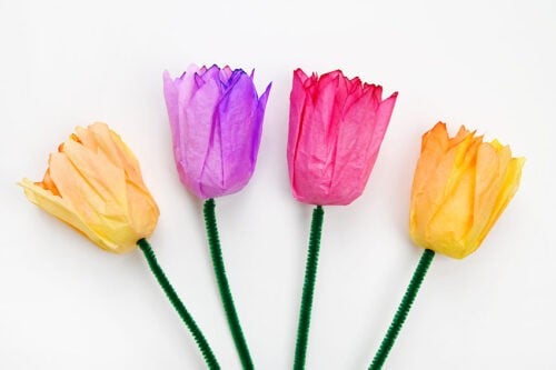 Coffee Filter Tulips