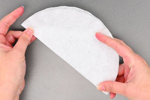 Coffee Filter Tulips