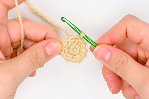 Crochet Bunny Basket