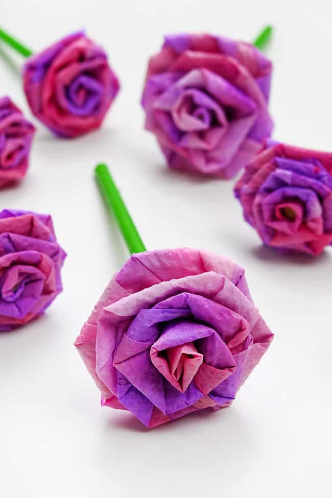 How to Make a Paper Towel Rose Roses made from coloured paper towel on a white background