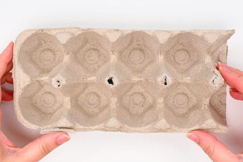 Egg Carton Carrot Craft