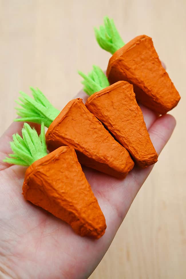 Holding cute egg carton carrots