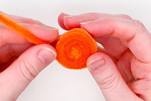 Pipe Cleaner Carrot