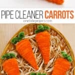 Carrot craft made with pipe cleaners