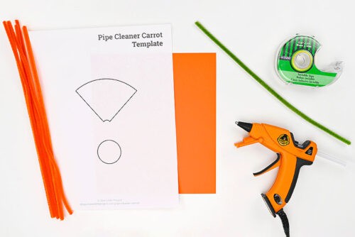 Pipe Cleaner Carrot Supplies