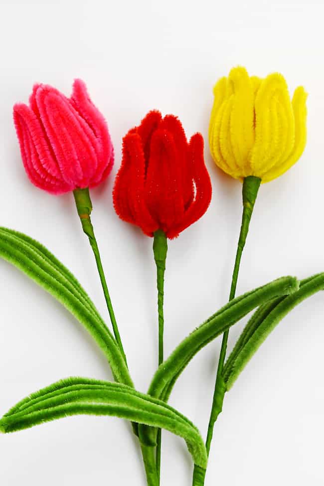 Pipe Cleaner Flowers Tulips Pretty tulips made from pipe cleaners on a white background