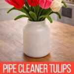 Tulip pipe cleaner craft
