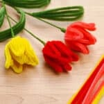 Pipe Cleaner Tulip Step by Step