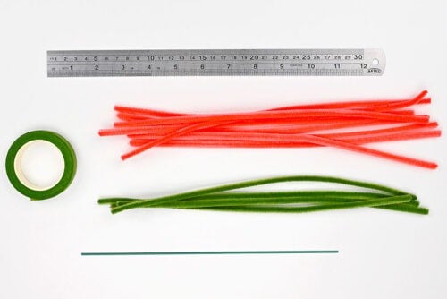 Pipe cleaner tulips supplies
