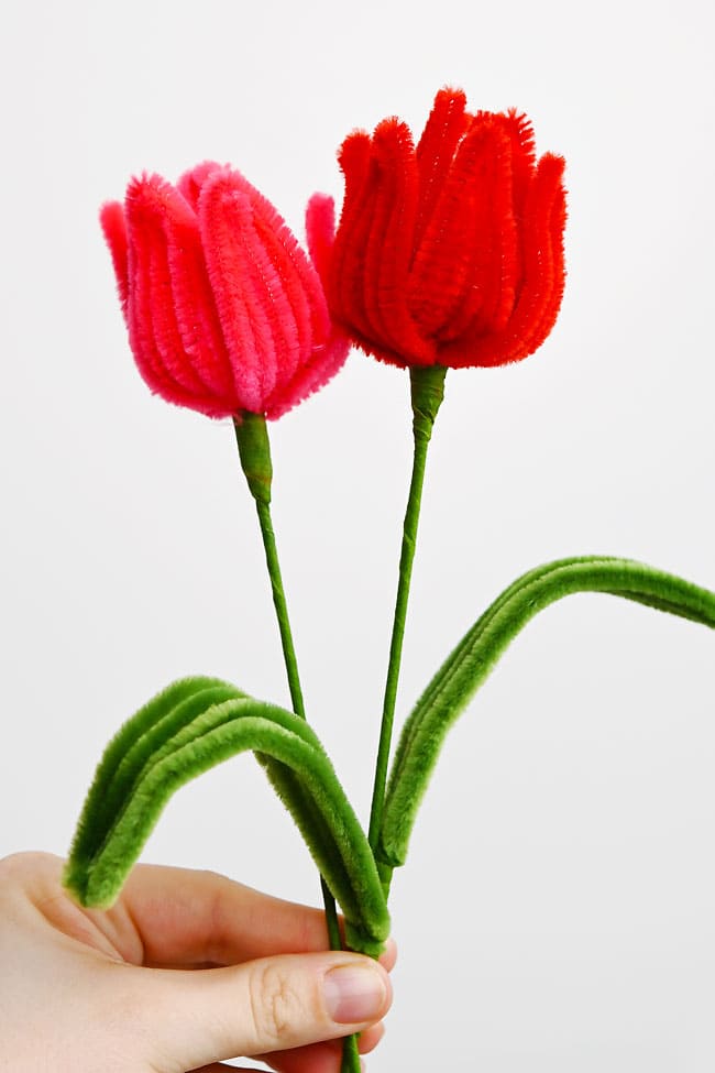 Pipe Cleaner Tulips Holding pink and red tulips made from pipe cleaners