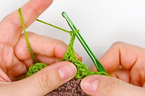 Crochet Succulent Coasters