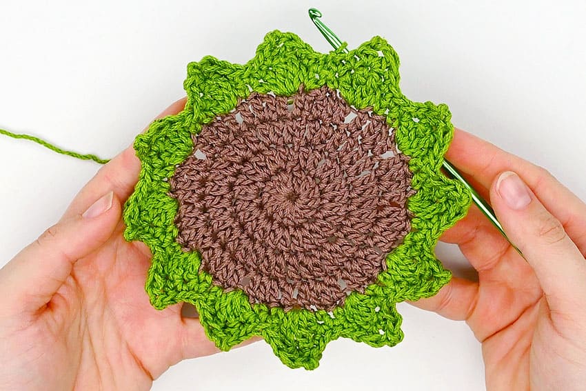 Crochet Succulent Coasters - Free Succulent Coaster Pattern