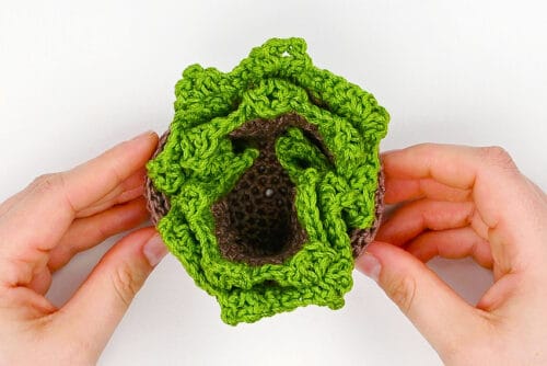 Crochet Succulent Coasters