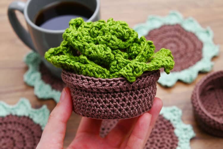 Crochet Succulent Coasters Crochet succulent coasters free pattern