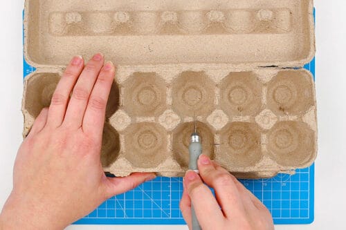 Egg Carton Flowers